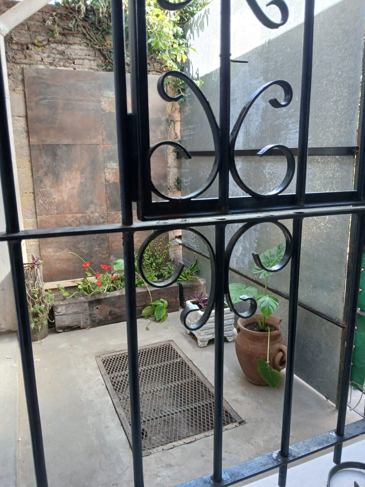 Patio de luz del departamento con plantas